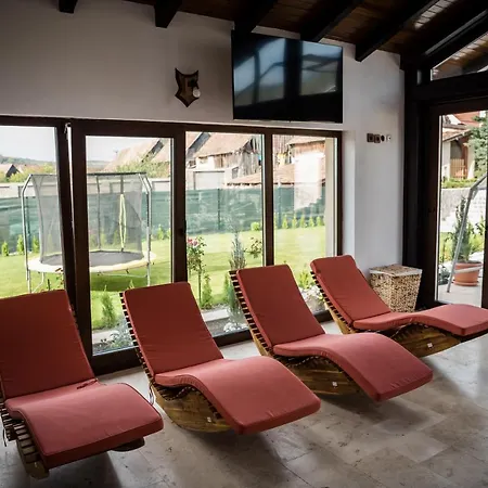 Bed & Breakfast Hundorf Viisoara (Mures)